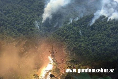 Astarada baş verən meşə yanğını söndürüldü - YENİLƏNİB