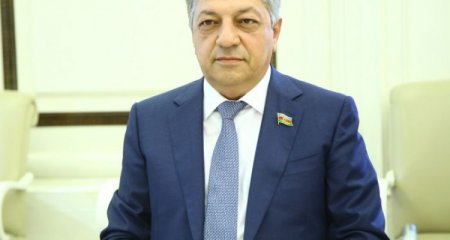 Cavanşir Feyziyevi hansı cəza gözləyir?