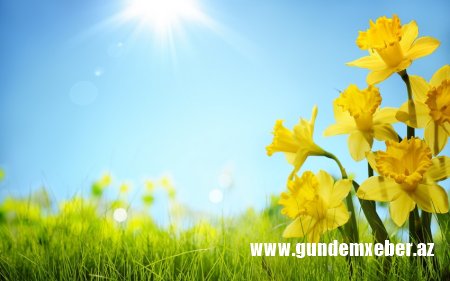 Sabah rayonlarda havanın temperaturu 31 dərəcəyədək artacaq