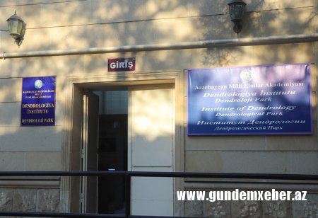 Dendrologiya İnstitutunu 4 günə yaradılmış, bir nəfərə məxsus 3 MMC ilə nələr bağlayır?