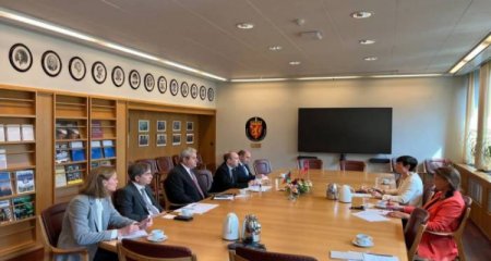 XİN başçısının müavini Norveçə səfər edib