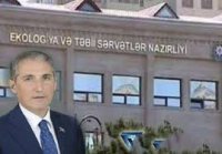 20 yanvar küçəsində yaşıllıqlar açıq şəkildə məhv edilir - VİDEO