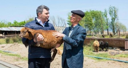 Ərzaq və taxıl bahalaşır... - KTN-nin bu sahədə yürütdüyü siyasət qənaətbəxşdir?