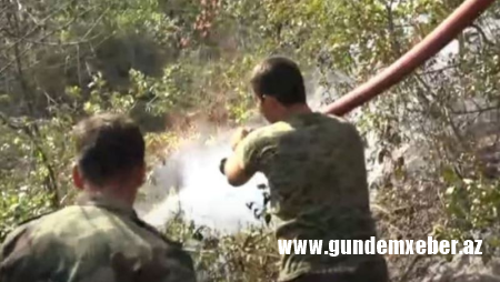 Qubada yanğın baş verən ərazidə son vəziyyət - VİDEO