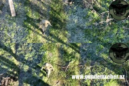 Ukrayna dronu Donbassda “Vaqner” əsgərini əsir götürdü