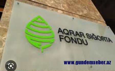 Aqrar Sığorta Fondu fermerə DİVAN TUTUR – ÖZBAŞINALIQ
