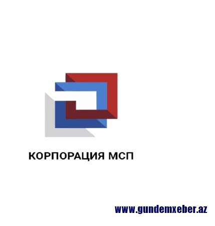 Duma dövlət MMİ-lərinin KOM-lara dəstək sisteminə daxil edilməsini birinci oxunuşda təsdiqləyib