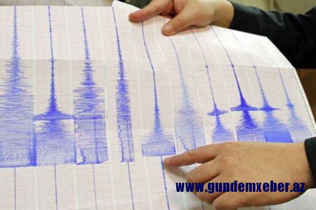 Yeni Zelandiyada güclü zəlzələ: Sunami xəbərdarlığı edildi