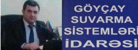Göyçayda insanlar məmur özbaşınalığından danışırlar - ŞOK MÜRACİƏT