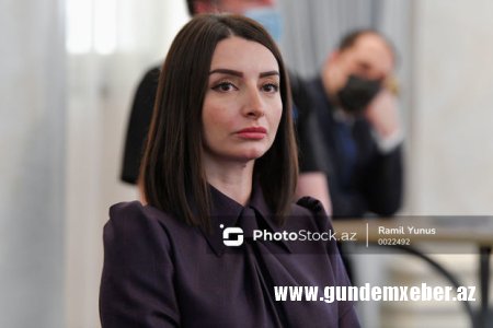 Leyla Abdullayeva Fransada aparılan anti-Azərbaycan kampaniyasını pisləyib
