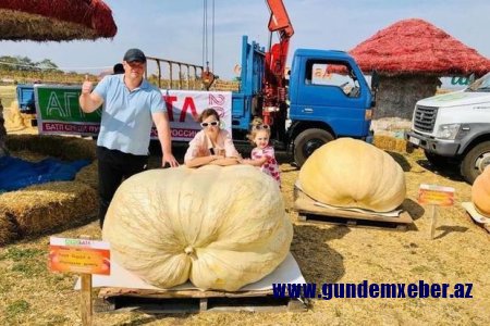 Rusiyada 600 kiloqramlıq balqabaq yetişdirildi
