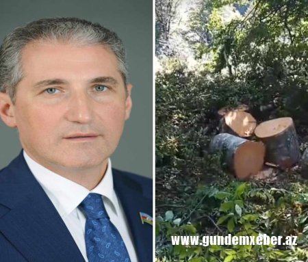 O xal nə xaldır qoşa düzdürmüsən, de görüm yaşıl ağacları niyə üzdürmüsən? - ŞOK VIDEO