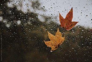 Sabah hava necə olacaq? - PROQNOZ