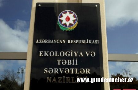 “Asfalt Raqib” təbiətin QƏSDİNƏ DURUB... - Prezidentə müraciət olundu