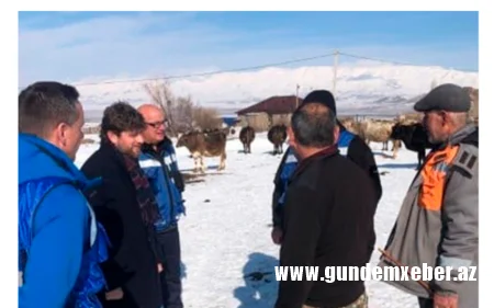Dünyanın ən böyük qızıl balığı tutuldu