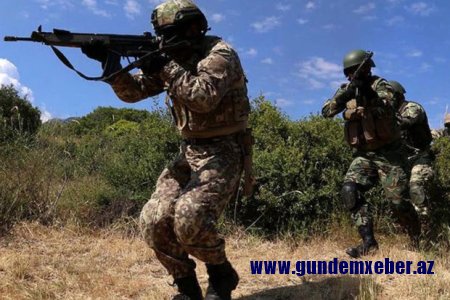 Türkiyədə silahlı hücuma hazırlaşan PKK terrorçuları zərərsizləşdirildilər
