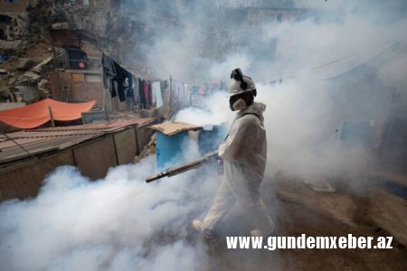 Peruda təhlükəli virus yayılır: Fövqəladə vəziyyət elan edildi