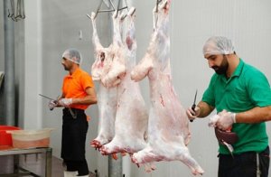 Bayramda heyvanların satışı və kəsimi yerləri açıqlandı - SİYAHI