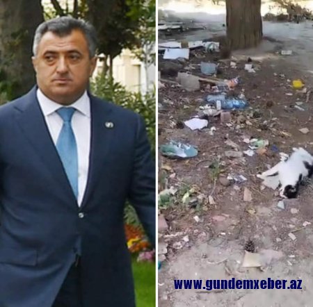 Abdin Fərzəliyevin "zibilə qoyduğu" şəhərdə pişiklər də "intihar edir" - RƏZALƏT (FOTO/VİDEO)