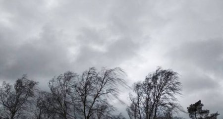 Küləkli hava şəraiti ilə bağlı sarı, narıncı və qırmızı xəbərdarlıq verilib