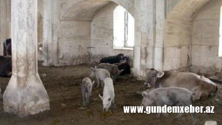 Azərbaycana qarşı heyrətamiz ŞANTAJ – Üstümüzə indi də USCIRF gəlir