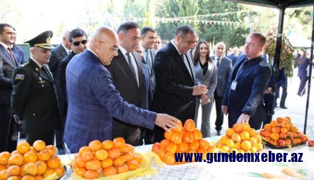 DTX tərəfindən saxlanılan icra başçısının festivaldakı son görüntüləri yayıldı - FOTO