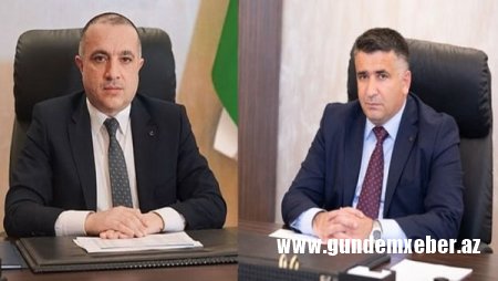 Tahir İskəndərov və Elxan Paşayevin şirkəti tender kralına çevrilir
