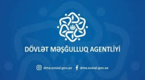 Məşğulluq Agentliyi ofislərin icarəsinə milyonlar xərcləyir – Bəs Gülnarə İbadova kimdir?