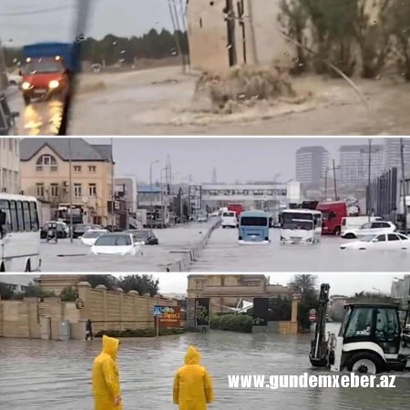 Tanınmış hüquqşünas məmurları yerdən-yerə vurdu - RƏZALƏT