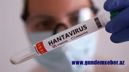 Dünya yeni virusun qorxusu altında: Hantavirus İsrailə də çatdı