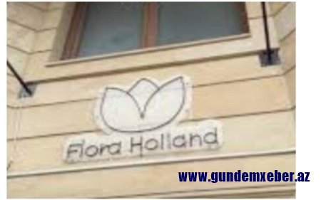 “Flora Holland” MMC-yə satınalmalarda belə geniş şəriti kimlər yaradır - İLGİNC FAKTLAR...