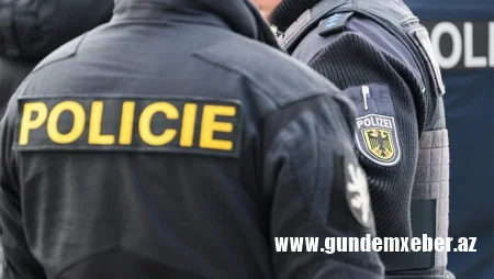 Çexiyada ana yenidoğulmuş körpəsini itlərə yedirdib
