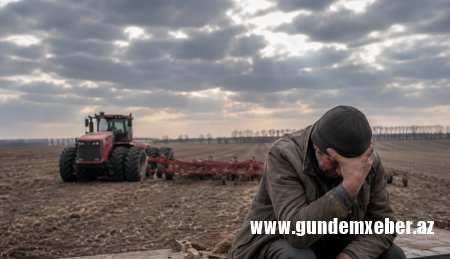 Fermerlər çıxılmaz vəziyyətdə: yanacaq yoxdur, səpin dayanır