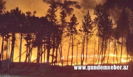 Biləcəridəki yanğın söndürüldü, nəqliyyatın hərəkəti bərpa olundu