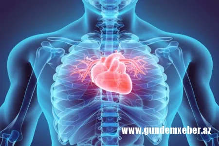 Ürək sağlamlığı üçün həftədə neçə dəqiqə idman kifayət edər?
