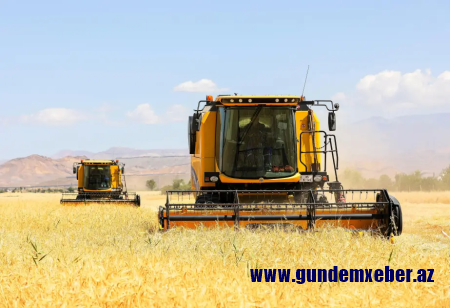 Taxıl sahələrindən 3,1 milyon ton məhsul yığılıb
