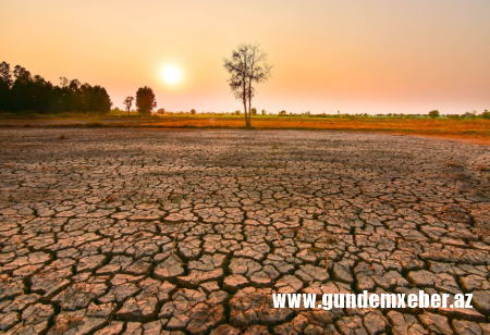 NOAA: El-Nino hadisəsinin rekord həddə çatma ehtimalı yüksəkdir