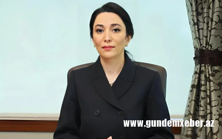 "Ermənistanlı hüquq müdafiəçisinin iddiaları əsassız və qərəzlidir" - Ombudsman