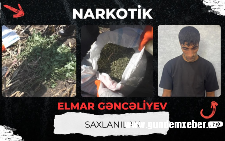 Qarğıdalı sahəsində narkotik əkdi