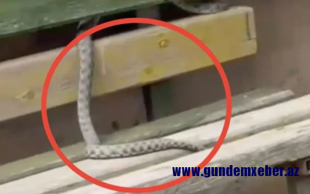 Yeni Günəşlidə ilan göründü