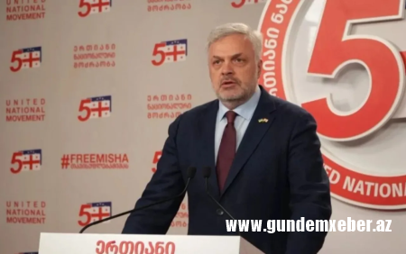 Gürcüstanda müxalifət lideri həbs edildi
