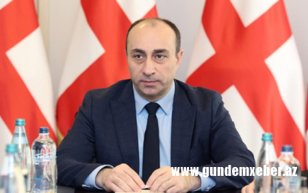 Gürcüstan DTX-nın rəhbəri istefa verdi