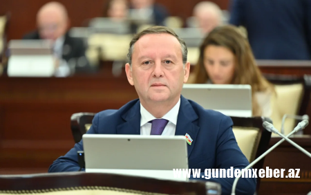 "Bu gün türk dövlətlərində sabitlik hökm sürür" - Deputat