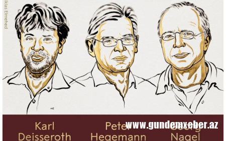 Fiziologiya və ya tibb üzrə Nobel mükafatı laureatları məlum oldu