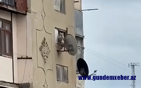 Bakıda iti binadan atan şəxs həbs edildi