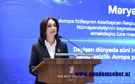 "Süni intellektlə sistemlərin zəif nöqtələrini müəyyən edə bilərlər" - Aİ-nin təmsilçisi